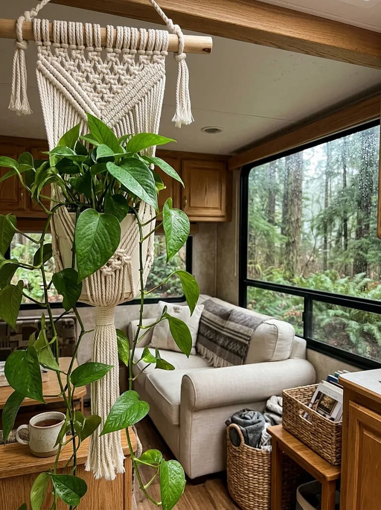 21 Camper Living Room Ideas for Cozy Tiny Interiors 13 Low-Light Hanging Plant